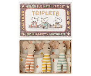 Triplets, Baby Mice in Matchbox